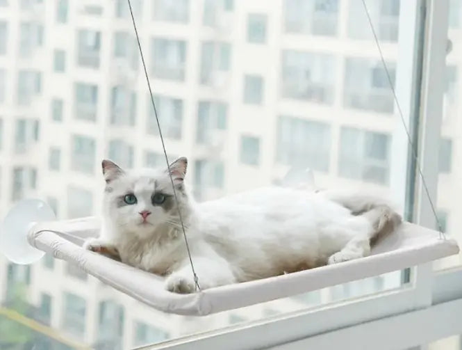 Pet Window Hammock