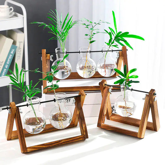 Sophisticated Glass Vase for Plant