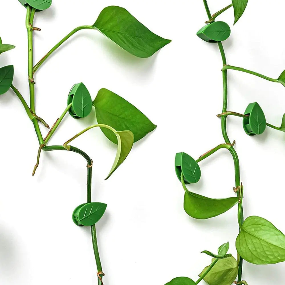 Leaf-shaped Plant Climbing Artifact Fixing Clip